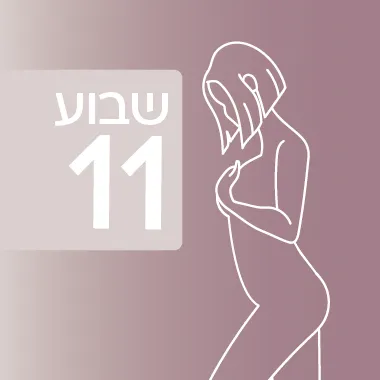 שבוע 11 להיריון