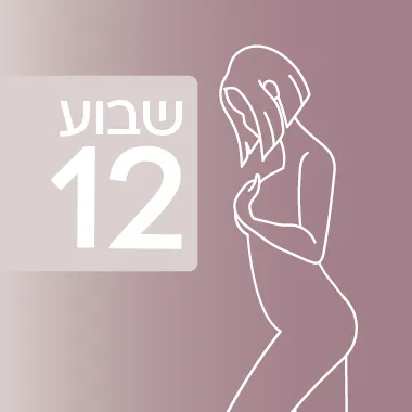 שבוע 12 להיריון