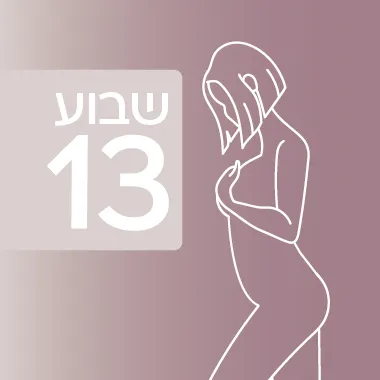 שבוע 13 להיריון