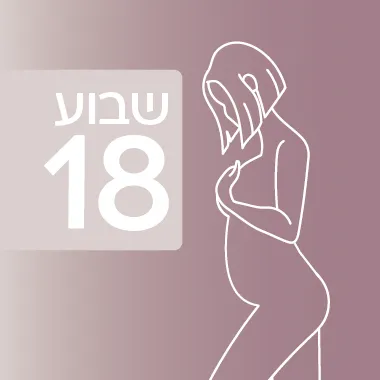 שבוע 18 להיריון