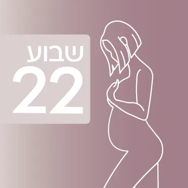 שבוע 22 להיריון