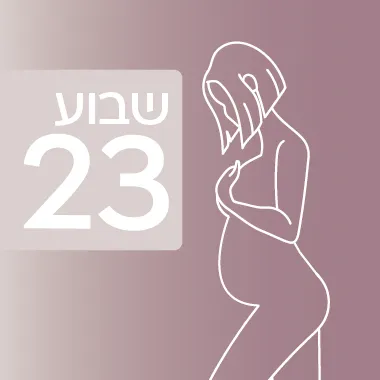 שבוע 23 להיריון