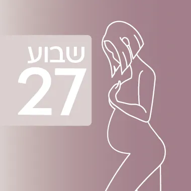 שבוע 27 להיריון