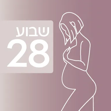 שבוע 28 להיריון