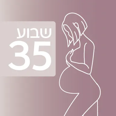 שבוע 35 להיריון