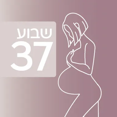 שבוע 37 להיריון