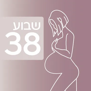 שבוע 38 להיריון