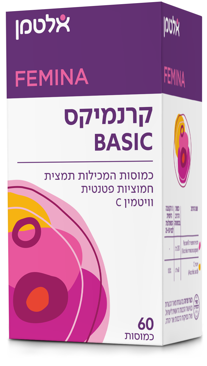 קרנמיקס BASIC